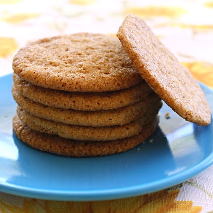 A stack of gingersnap cookies on a blue plate. 