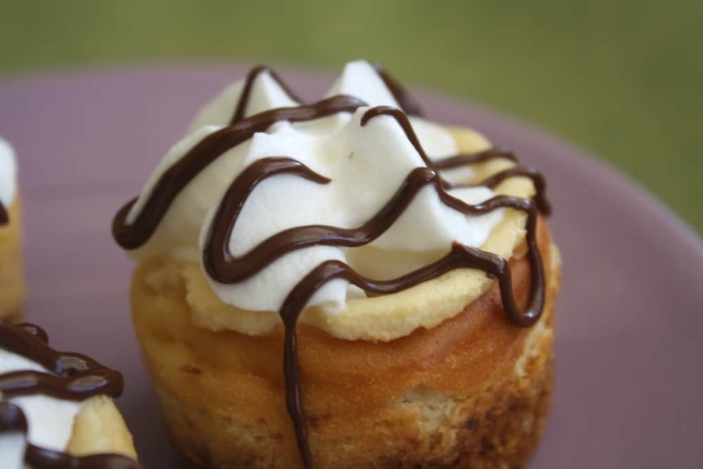 Close up of mini baileys cheesecake on a purple plate.