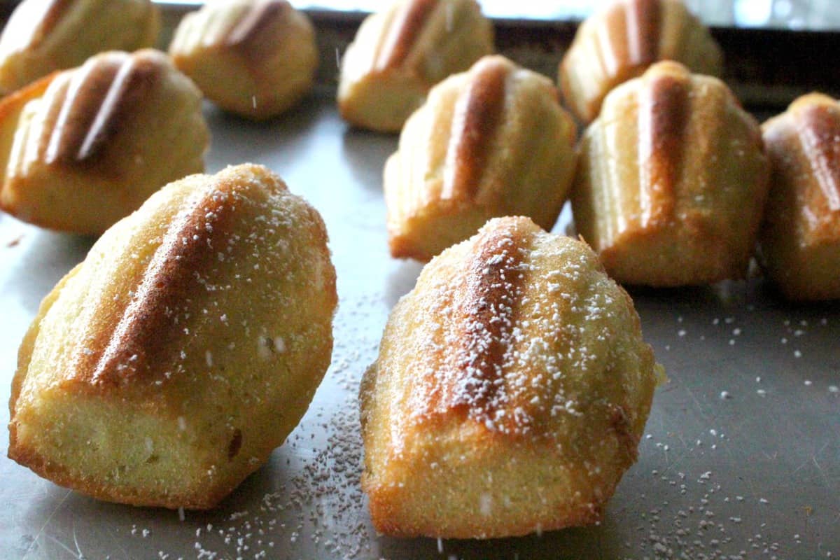 Side shot of classic madeleines dusted with sugar.