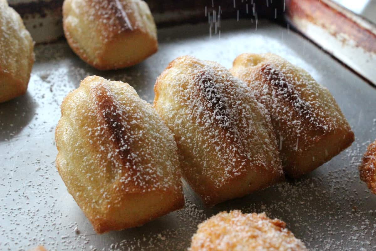 Sugar being dusted on classic madeleines.