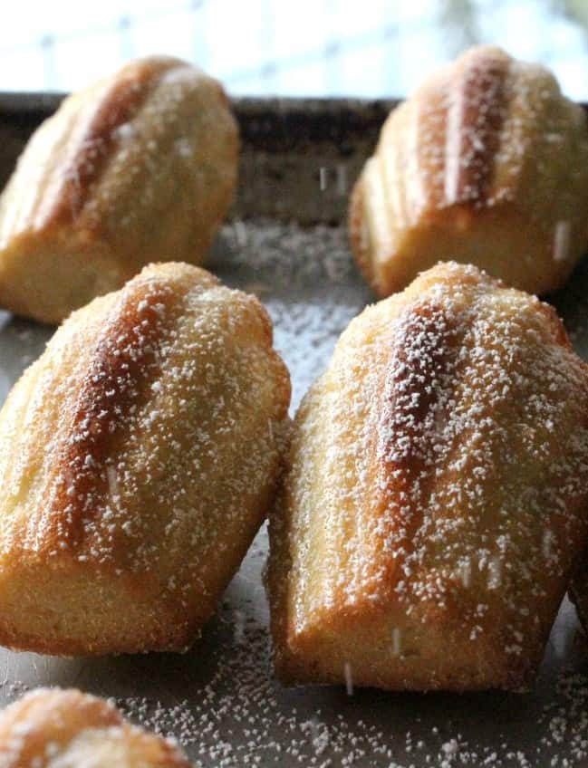 Classic madeleines on a tray.