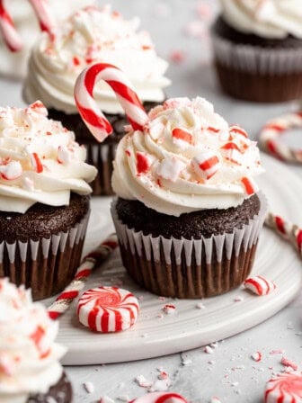 Chocolate peppermint swirl cupcakes with candy canes.