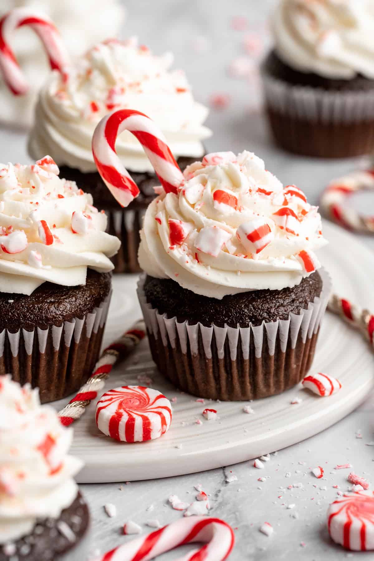 Chocolate peppermint swirl cupcakes with candy canes.