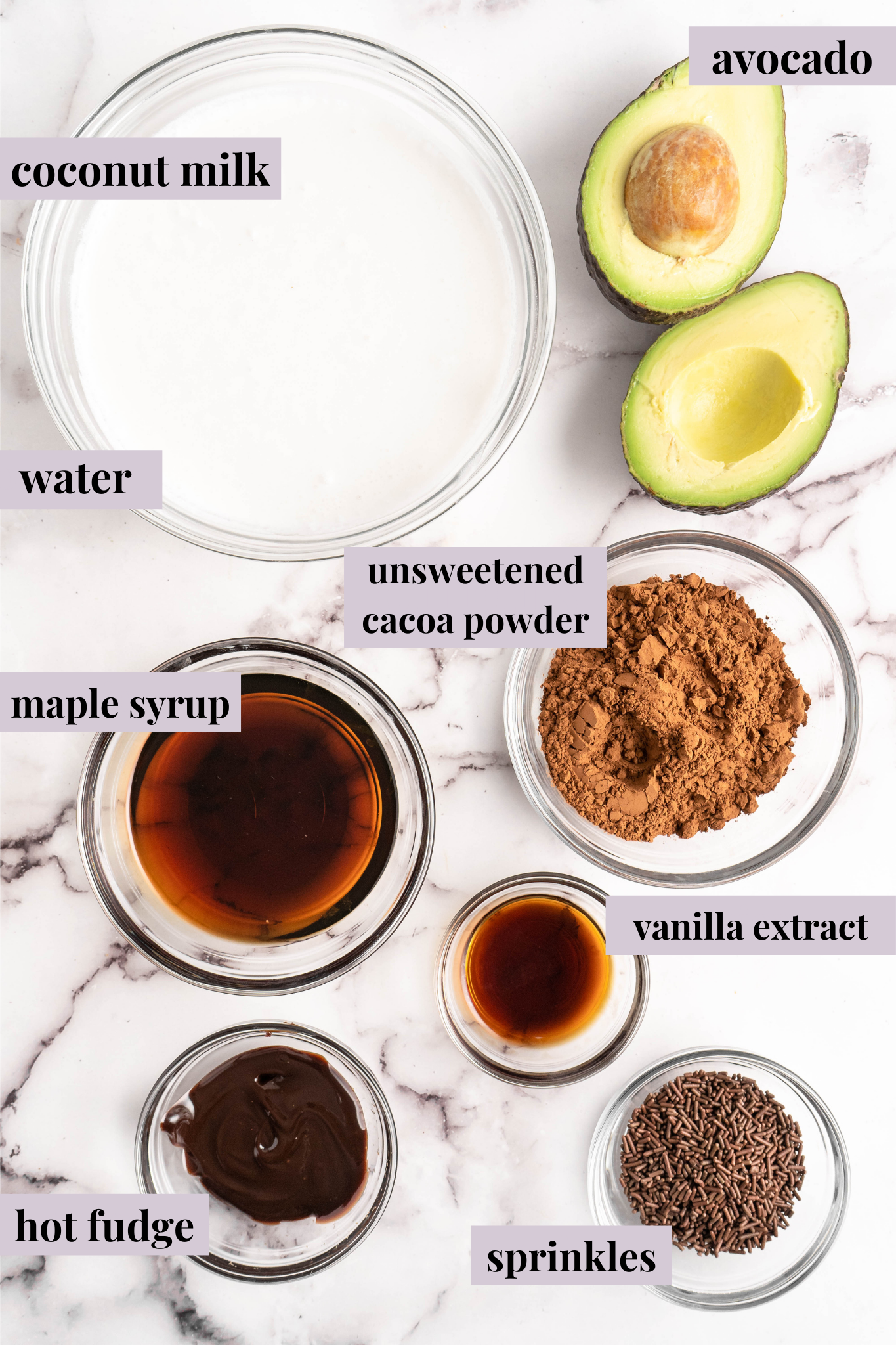 Ingredients for Chocolate Avocado Ice Cream