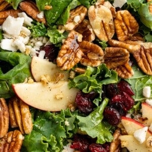 Overhead closeup view of apple, pecan, and vegan feta salad