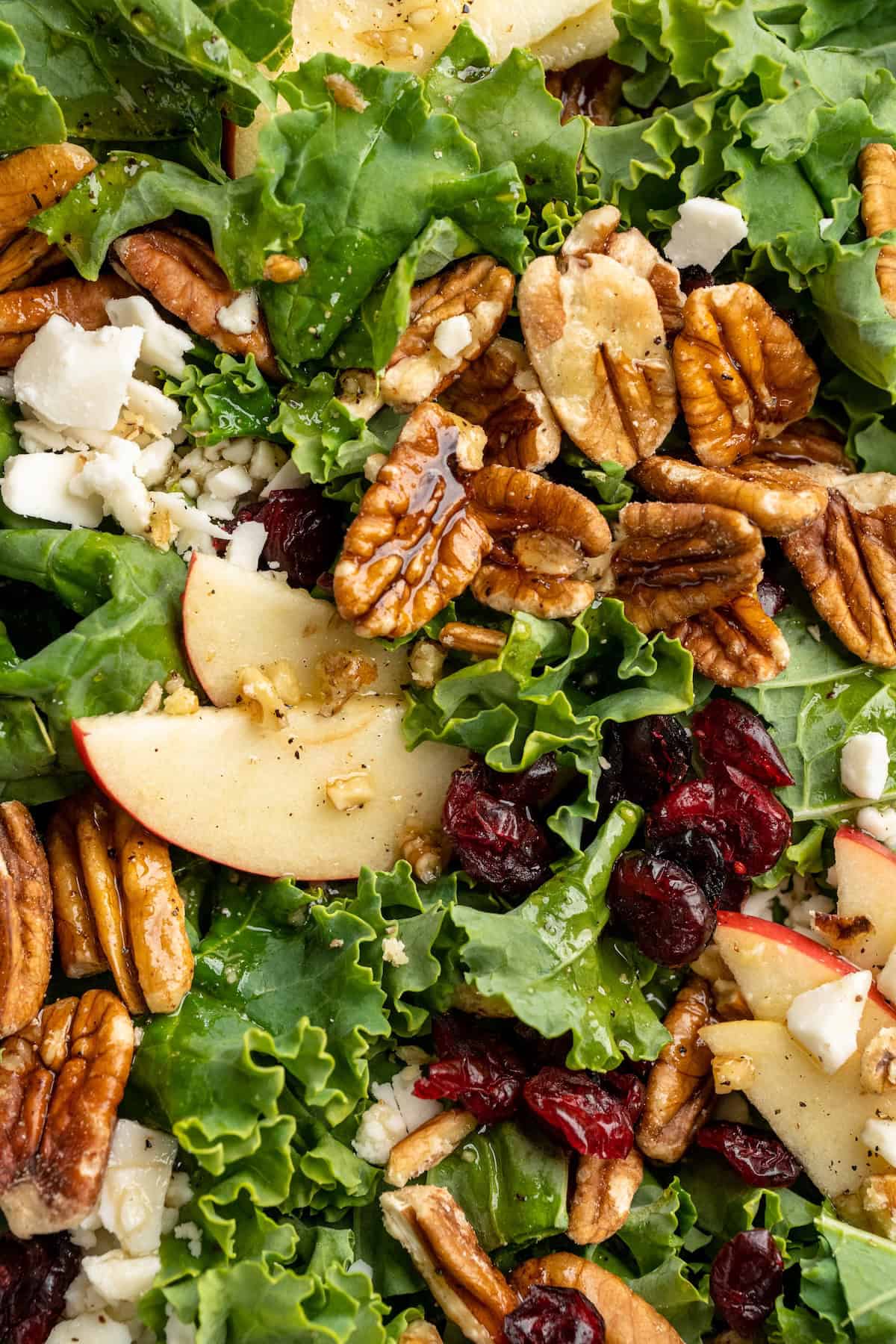 Overhead closeup view of apple, pecan, and vegan feta salad