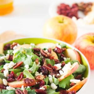 Side on shot of apple pecan salad.