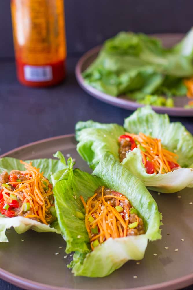 Side shot of three asian lettuce wraps.