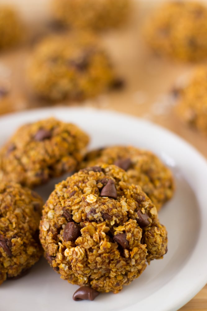 A close up of a pumpkin chocolate chip oatmeal breakfast cookies on a white plate.