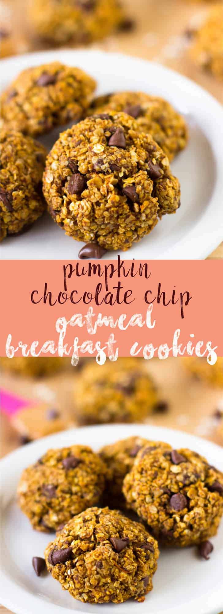 These Pumpkin Chocolate Chip Oatmeal Breakfast Cookies are cookies so healthy they can be eaten as breakfast! They're super tasty, gluten free and vegan! via https://jessicainthekitchen.com