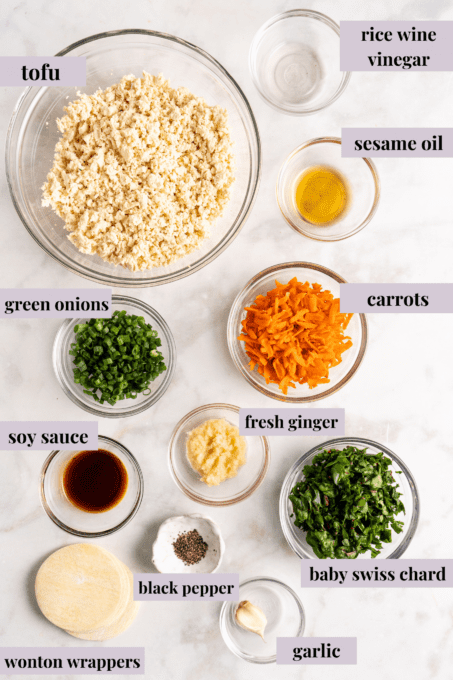 Learn how to make potstickers at home! Fill these vegan Chinese dumplings with veggies and tofu, and serve with your favorite dipping sauce. Overhead view of vegan potsticker ingredients