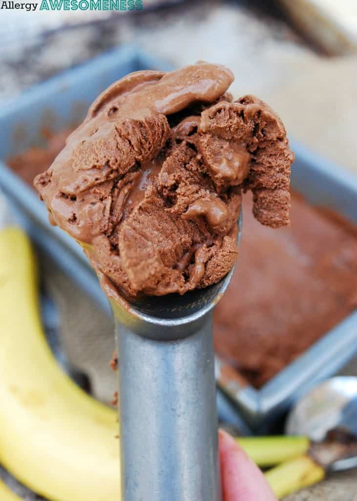 Vegan chocolate banana ice cream in a metal scoop. 