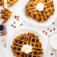 Top down shot of two flourless vegan pumpkin spice waffles on square white plates.