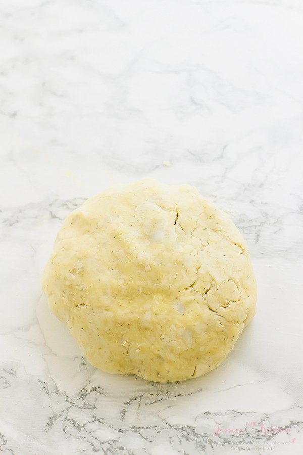 Disk of gluten-free vegan pie crust dough