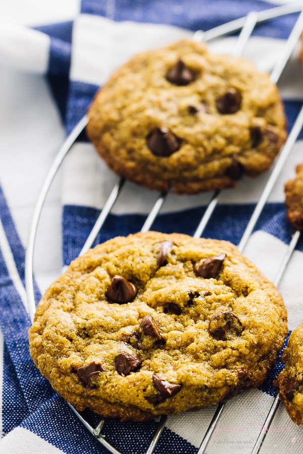 Close up of two chocolate chip cookies on a wire rack. 