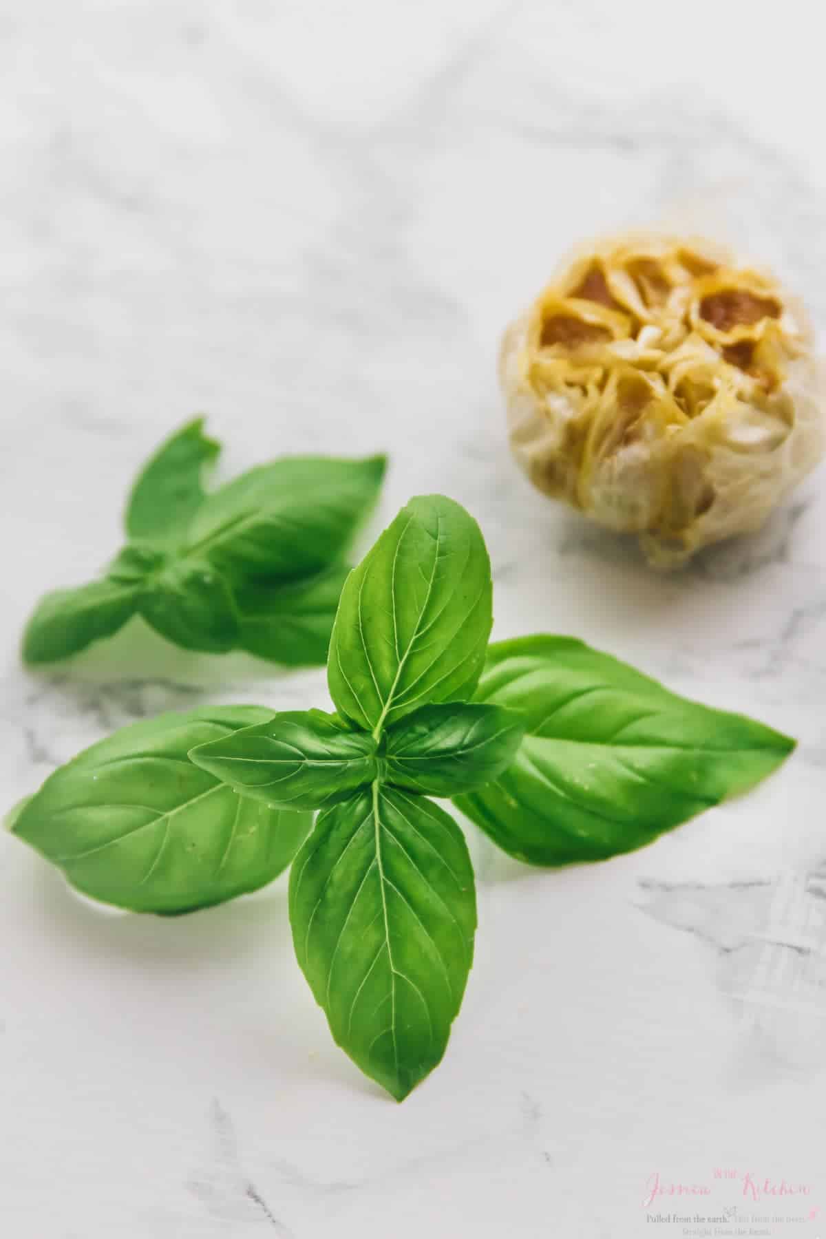 Close up of basil leaves with a bulb of roasted garlic in the background. 
