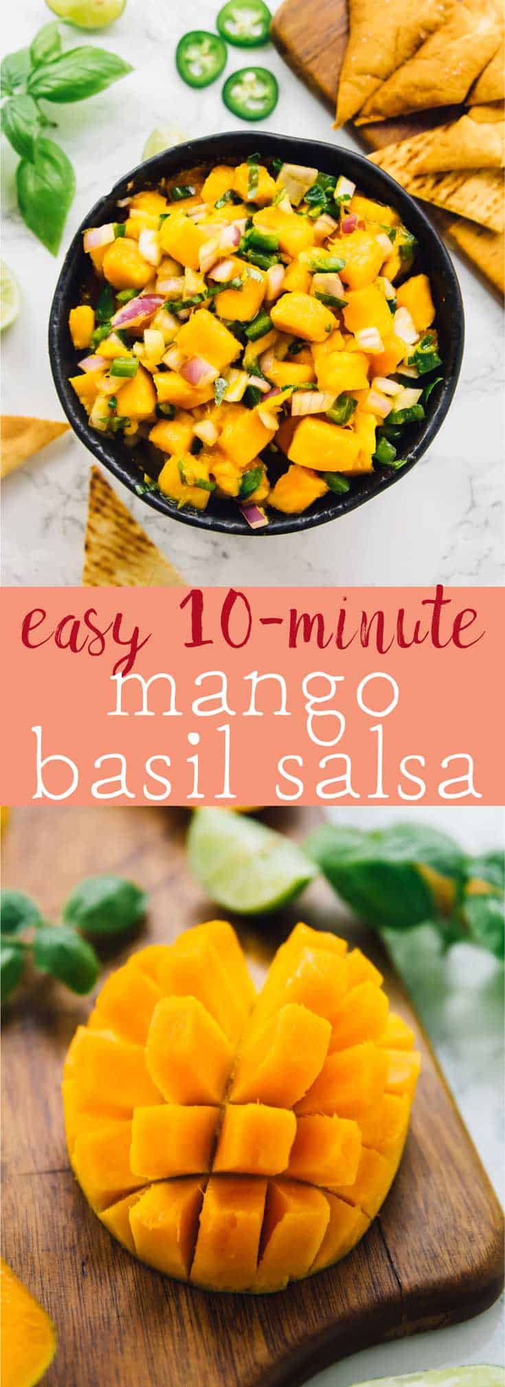 This Easy Mango Basil Salsa takes only 10 minutes with 5 ingredients! It’s a sweet and spicy salsa that is a total crowd pleaser and great for parties! via https://jessicainthekitchen.com
