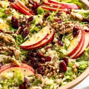Shaved Brussels sprout salad with apples, walnuts, and cranberries in serving bowl.