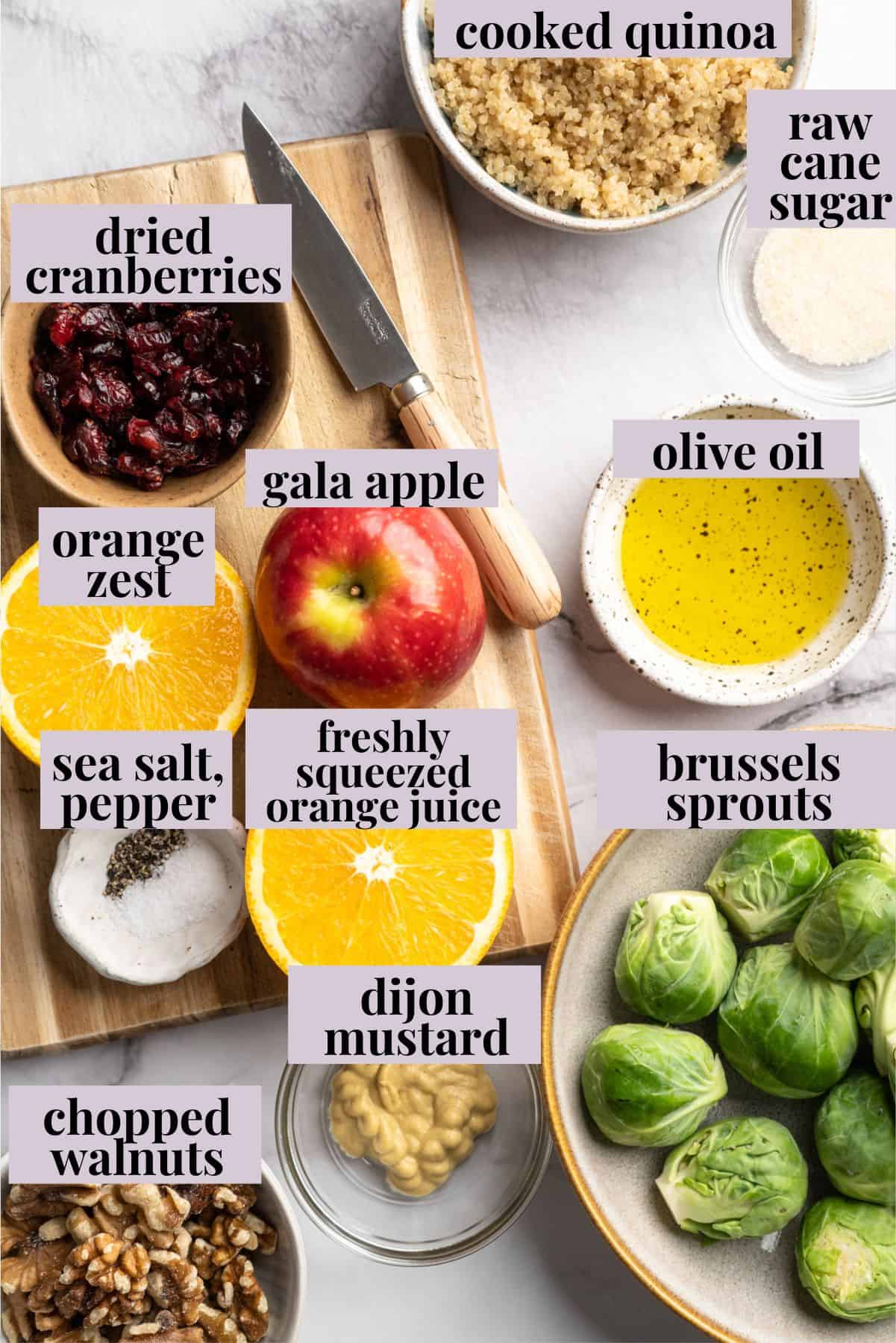 Overhead view of ingredients for shaved Brussels sprouts salad.