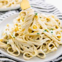 Vegan garlic Alfredo pasta on plate being twirled by a gold fork.