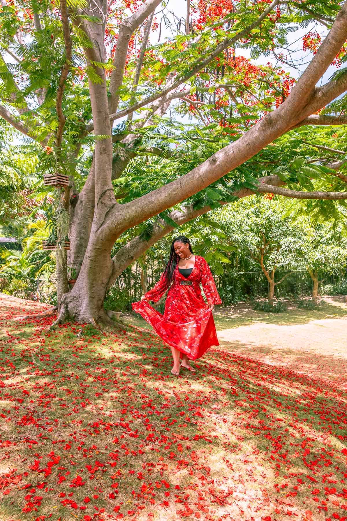 Jessica in a red dress, standing by a tree. 