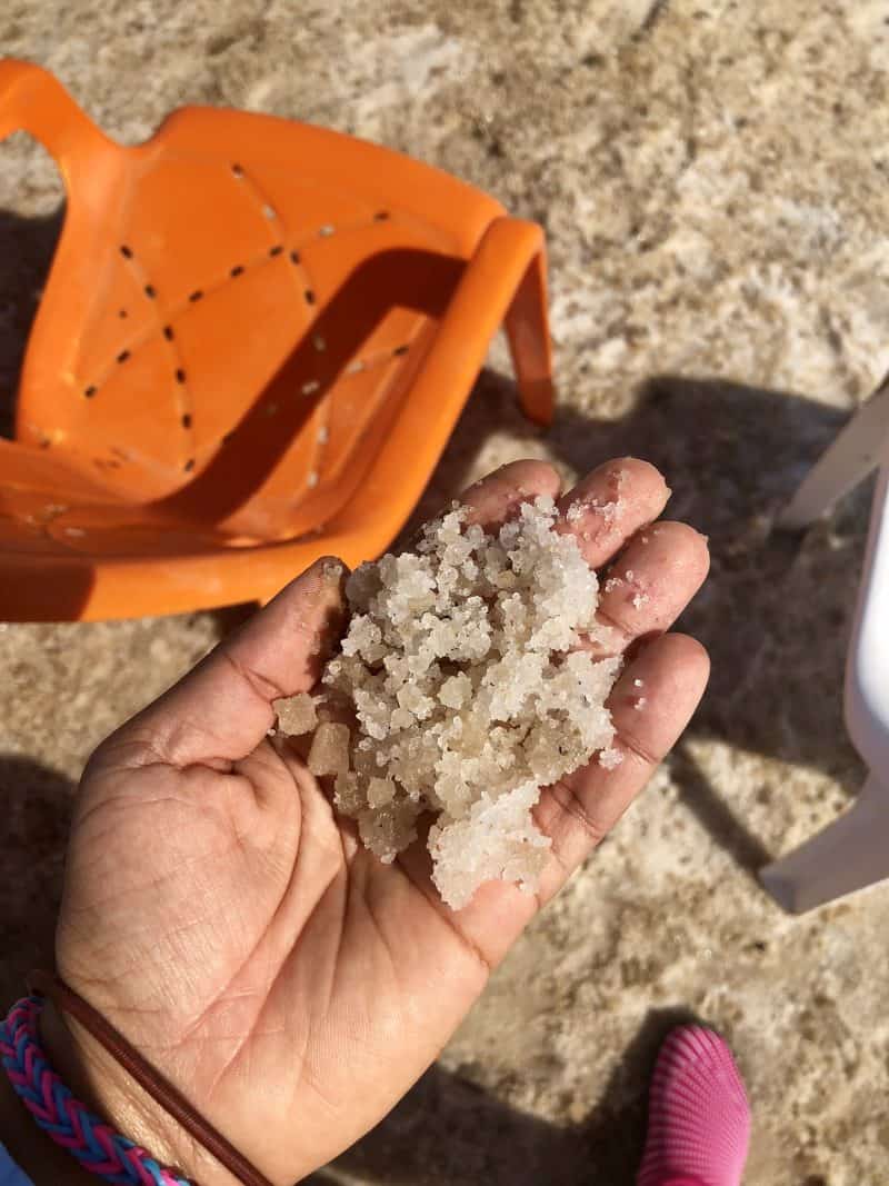 A hand holding some sand. 