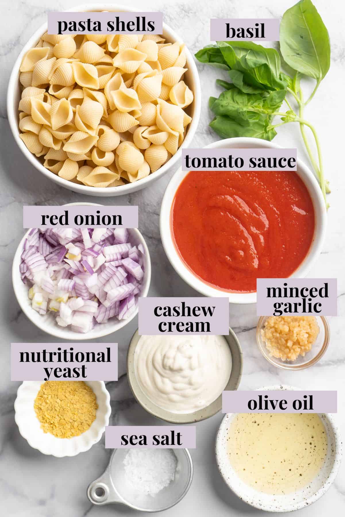 Overhead view of ingredients for creamy tomato pasta with cashew cream