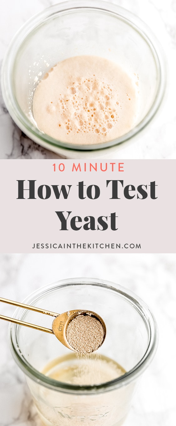 how-to-test-yeast-to-see-if-it-s-still-good-jessica-in-the-kitchen