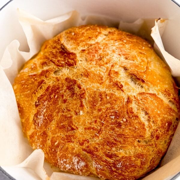 No Knead Bread (Dutch Oven Bread) - Jessica in the Kitchen