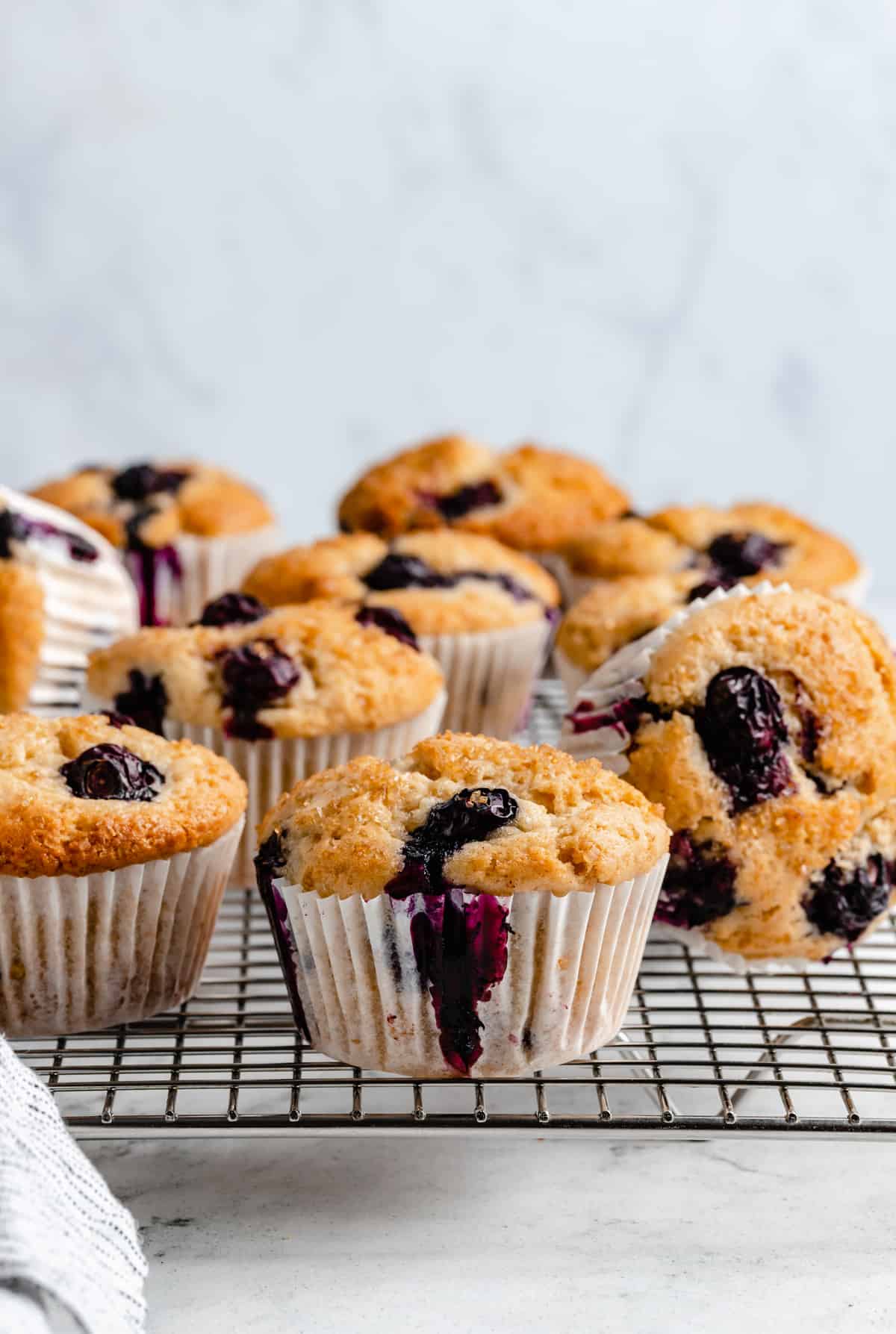 Blueberry muffins in wrappers.