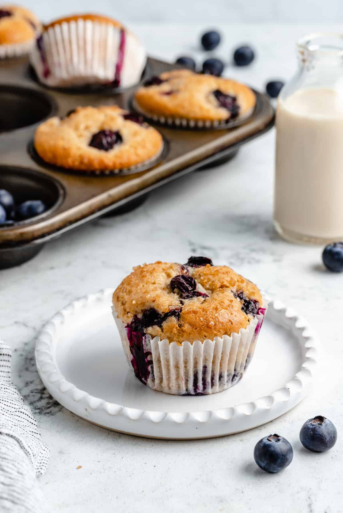 Blueberry muffin on a plate.