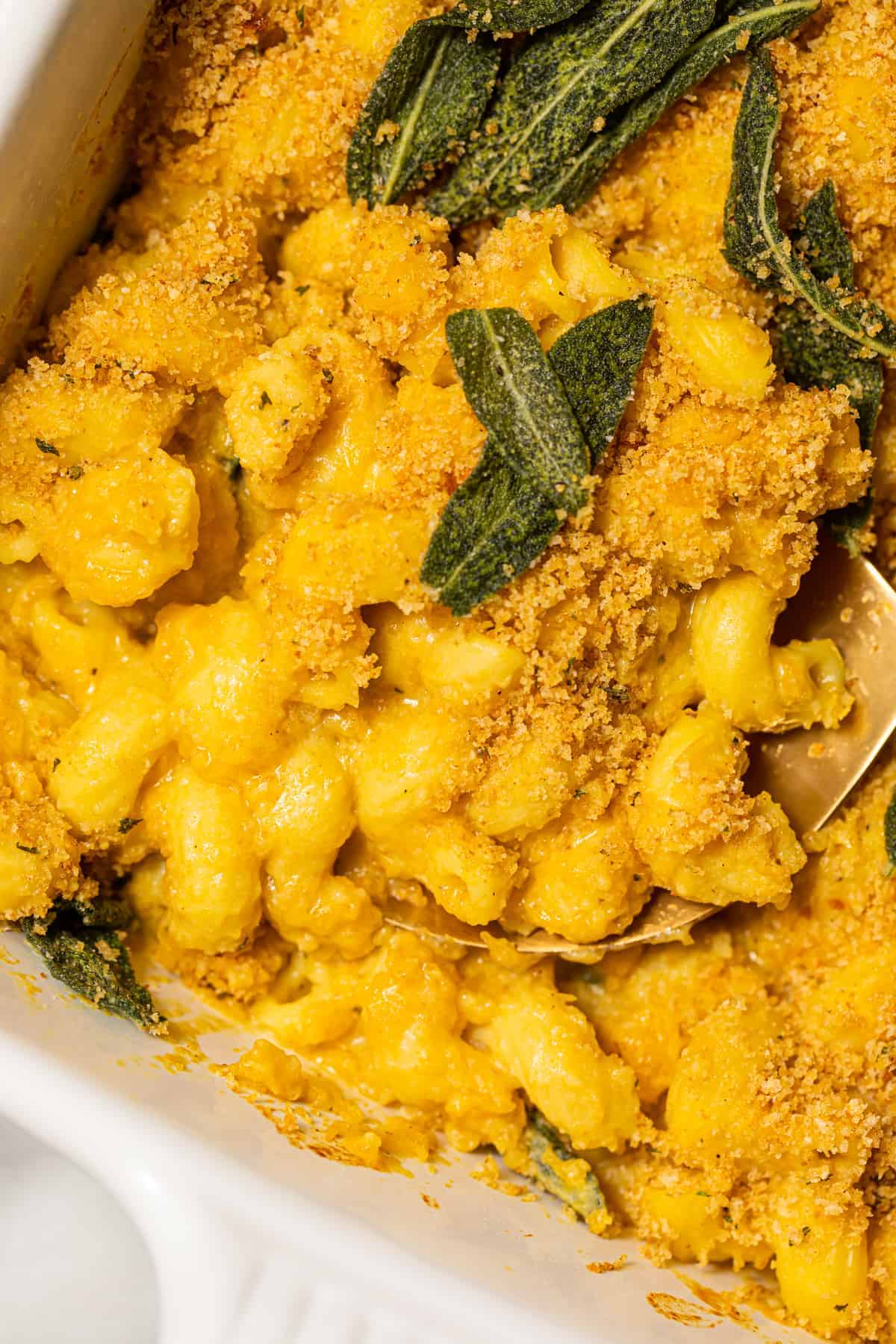 Butternut squash pasta with crispy sage leaves.