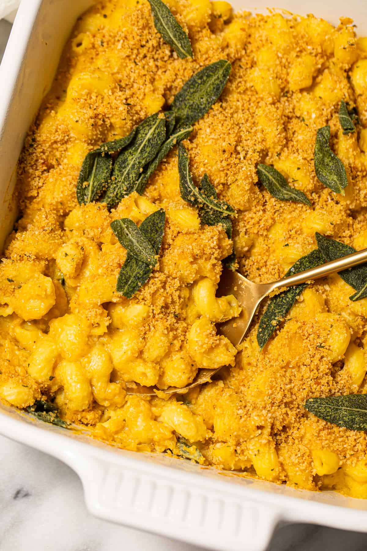 Butternut Squash Mac and Cheese - Easy Vegan Pasta Recipe!