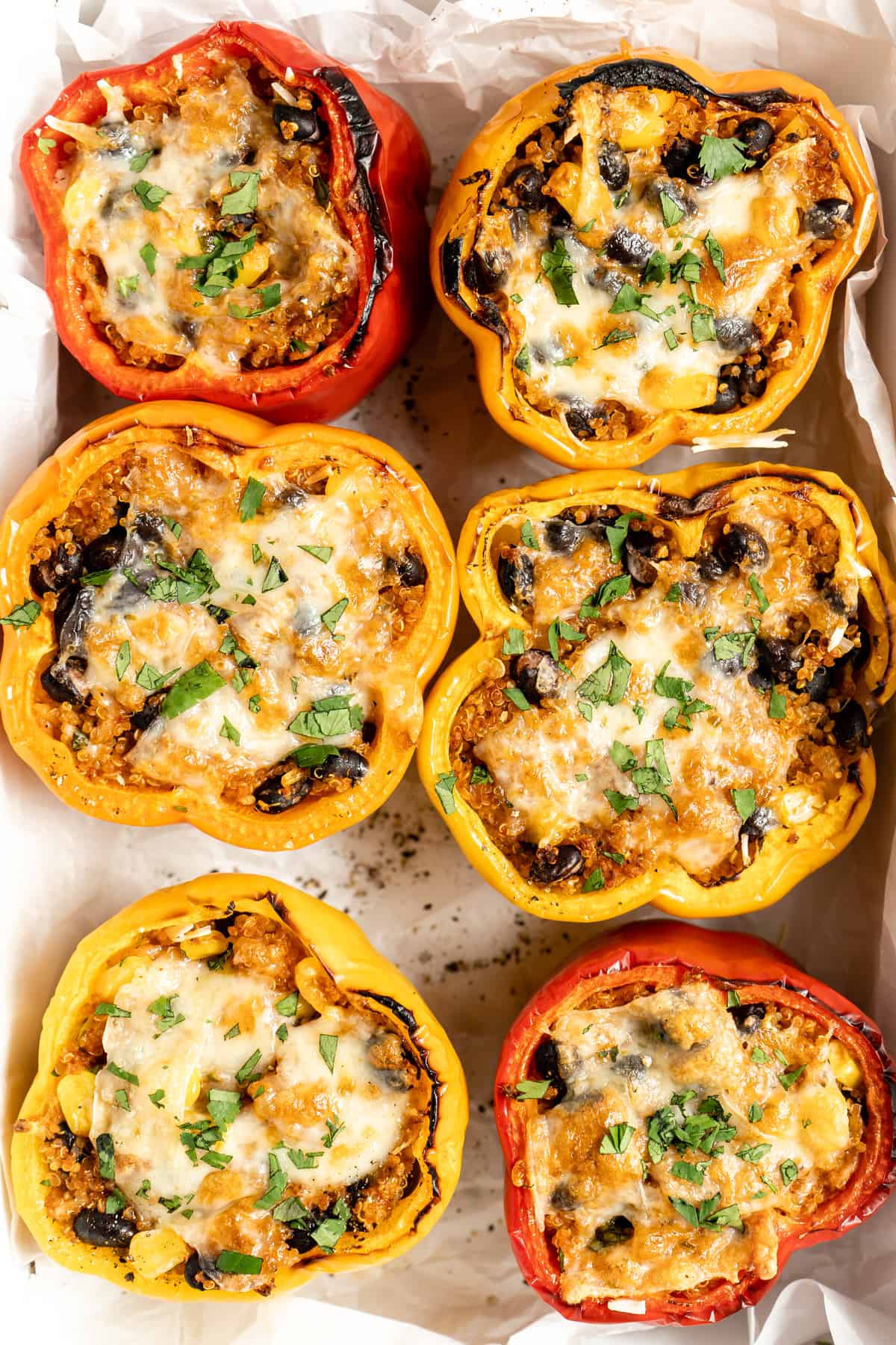 Vegan stuffed peppers in a baking dish.