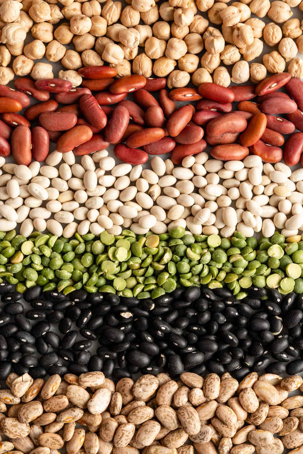 legumes such as beans, chickpeas, peas lined up side by side