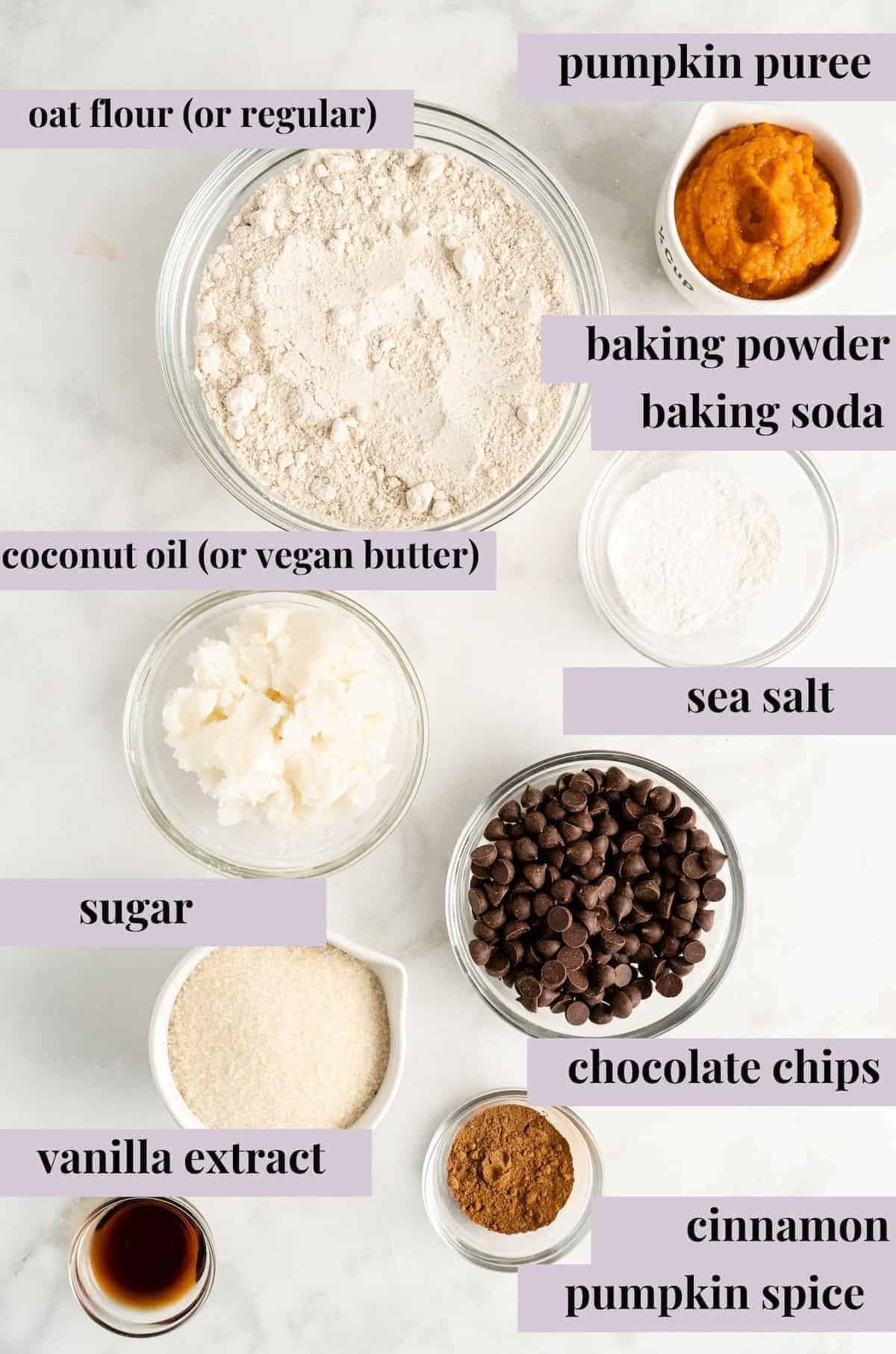 Overhead shot of Vegan Chocolate Chip Cookie ingredients with labels