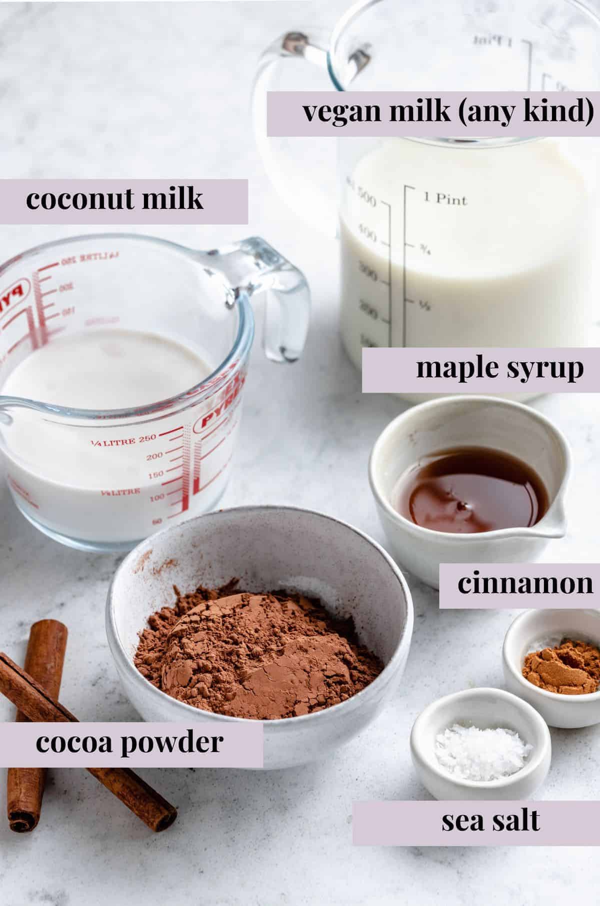 Ingredients for vegan hot chocolate