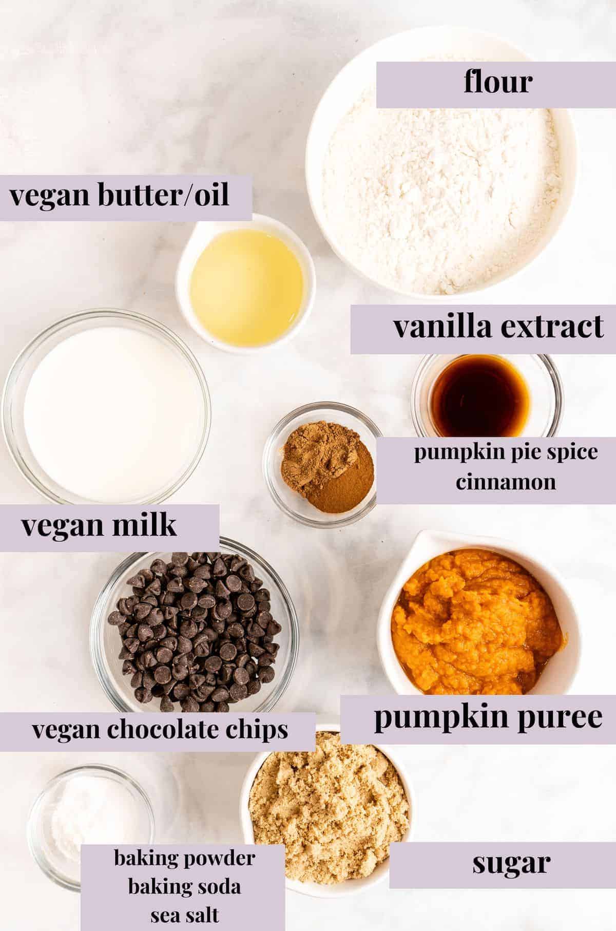 Overhead view of chocolate chip pumpkin bread ingredients with labels