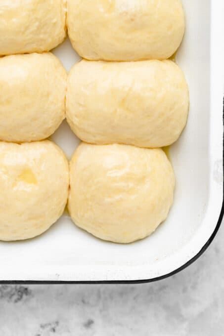 rised dough balls touching each other close up