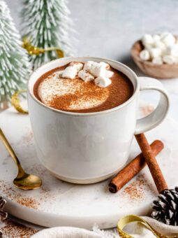 Mug of hot cocoa topped with whipped cream, cinnamon, and marshmallows with bottle brush Christmas trees in background