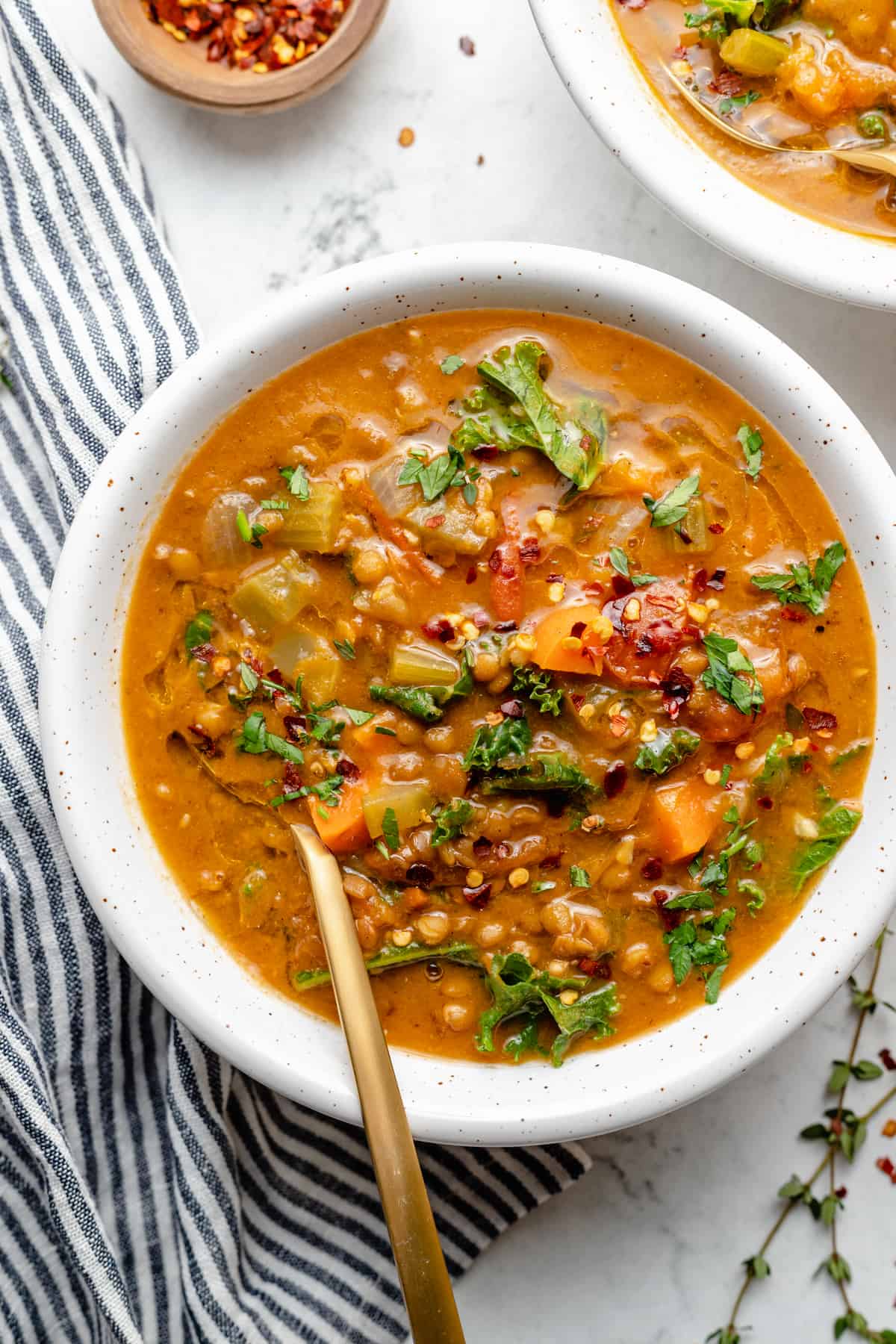 Veggie Lentil Soup Recipe Besto Blog