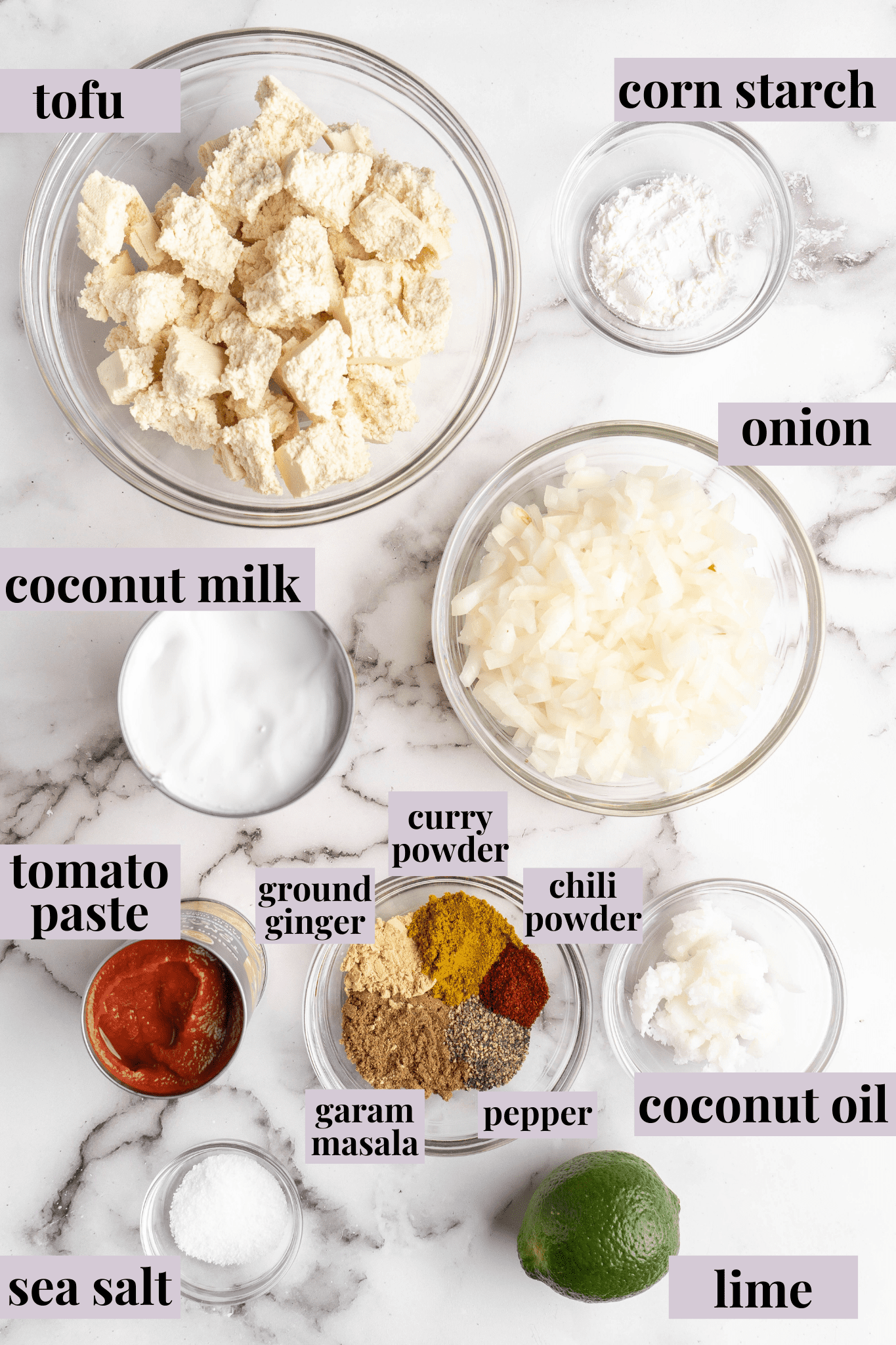 Overhead view of vegan butter chicken ingredients with labels
