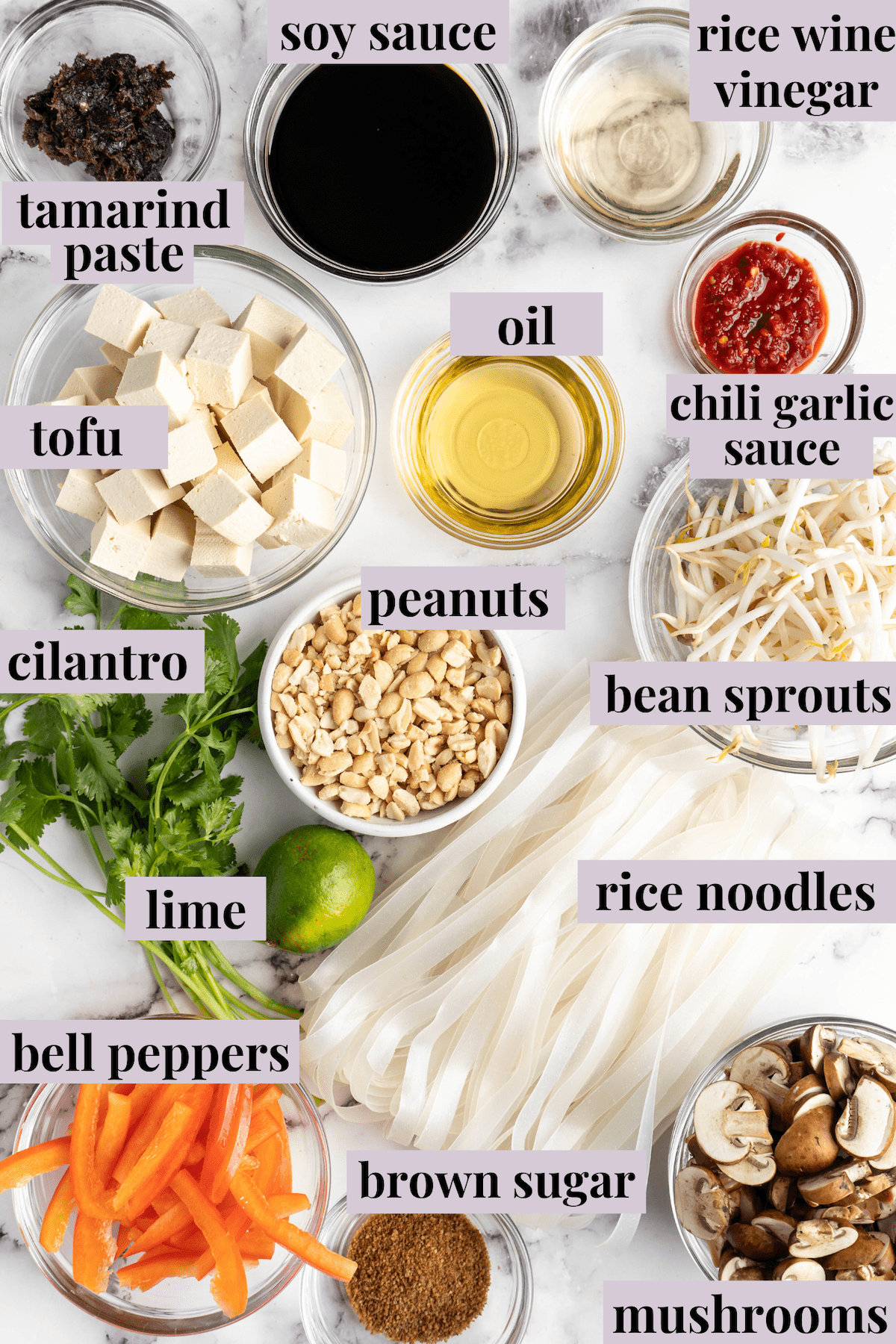 Overhead view of ingredients for vegan Pad Thai with labels