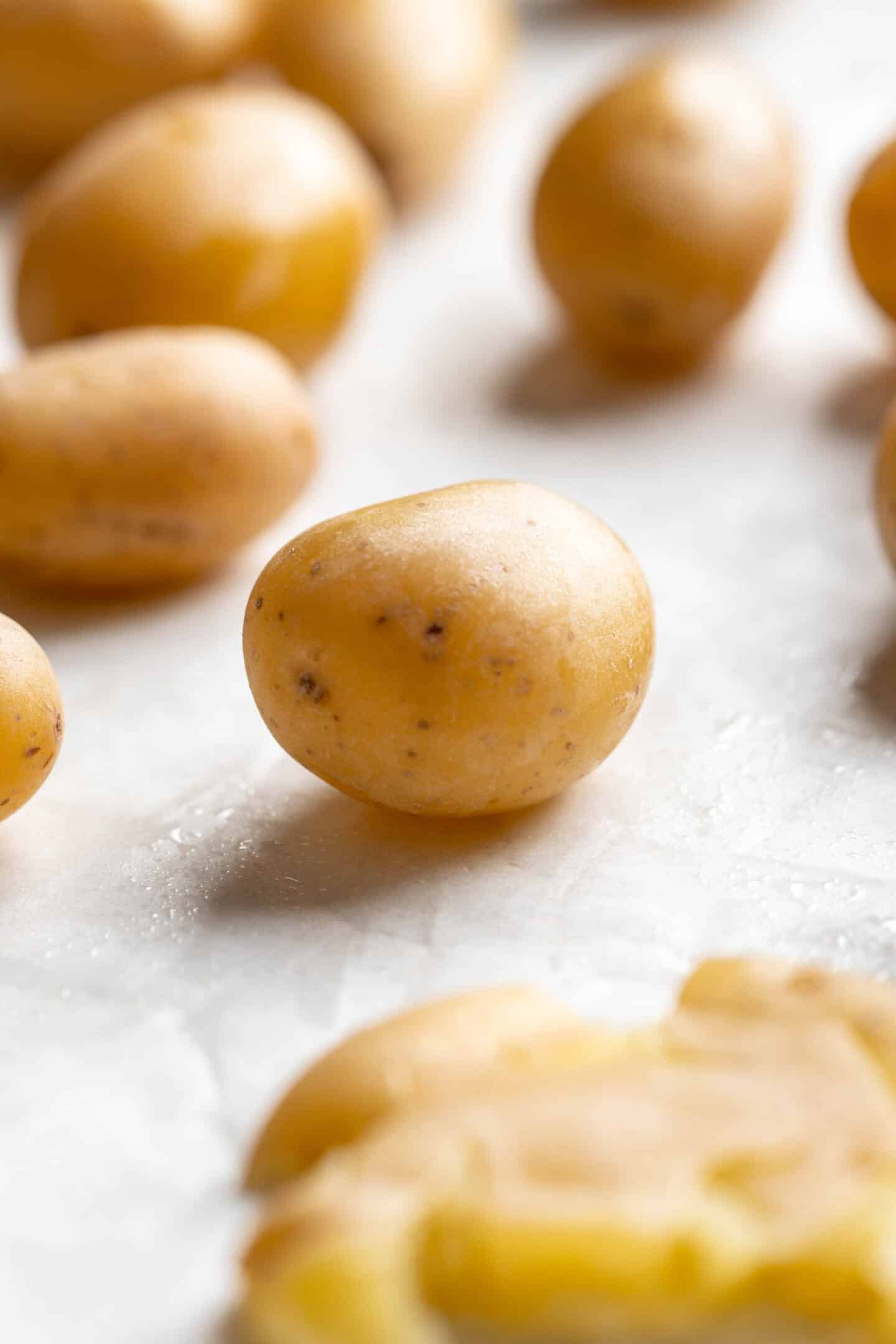 Close up of a baby potato