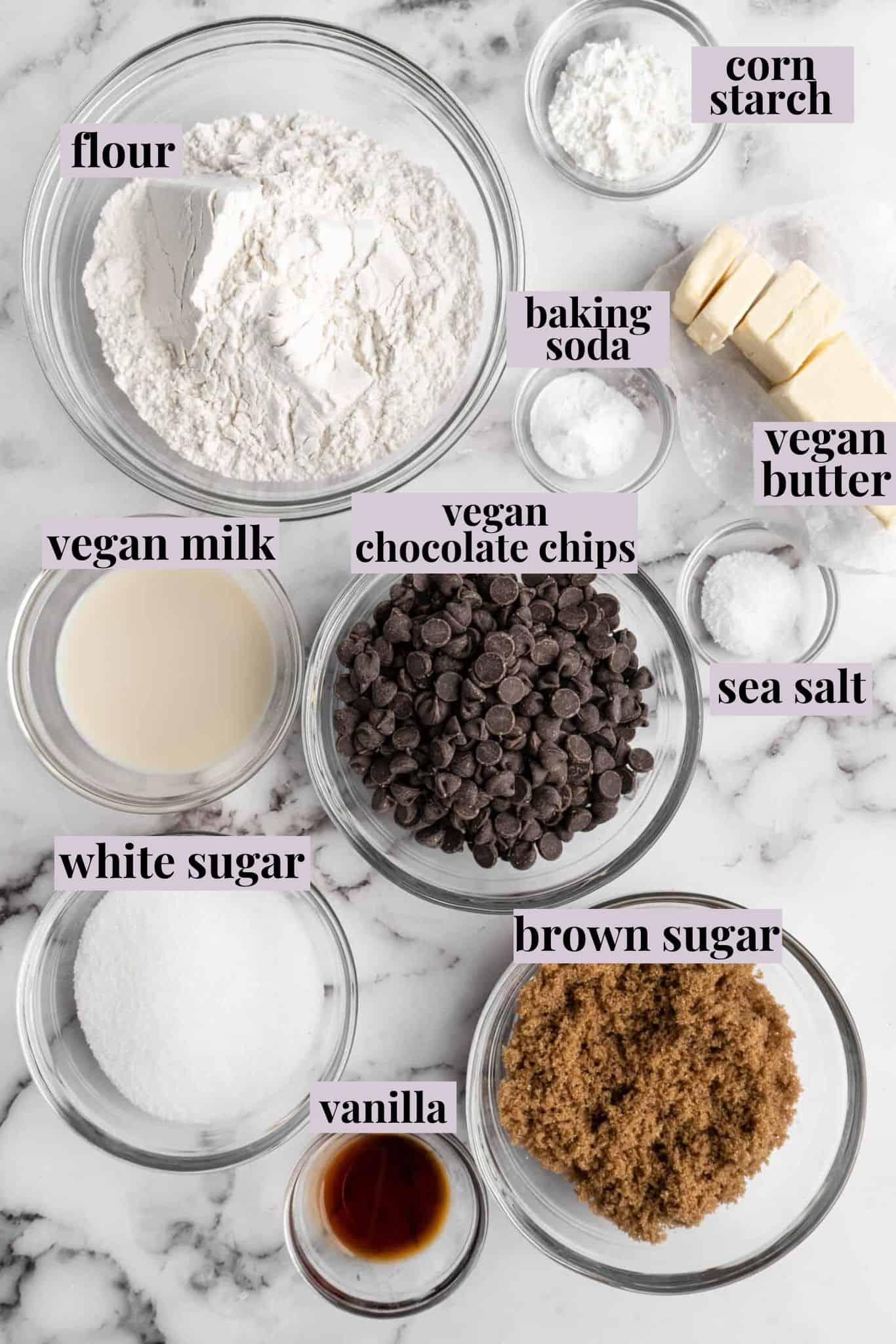 Overhead view of Vegan Chocolate Chip Cookie ingredients
