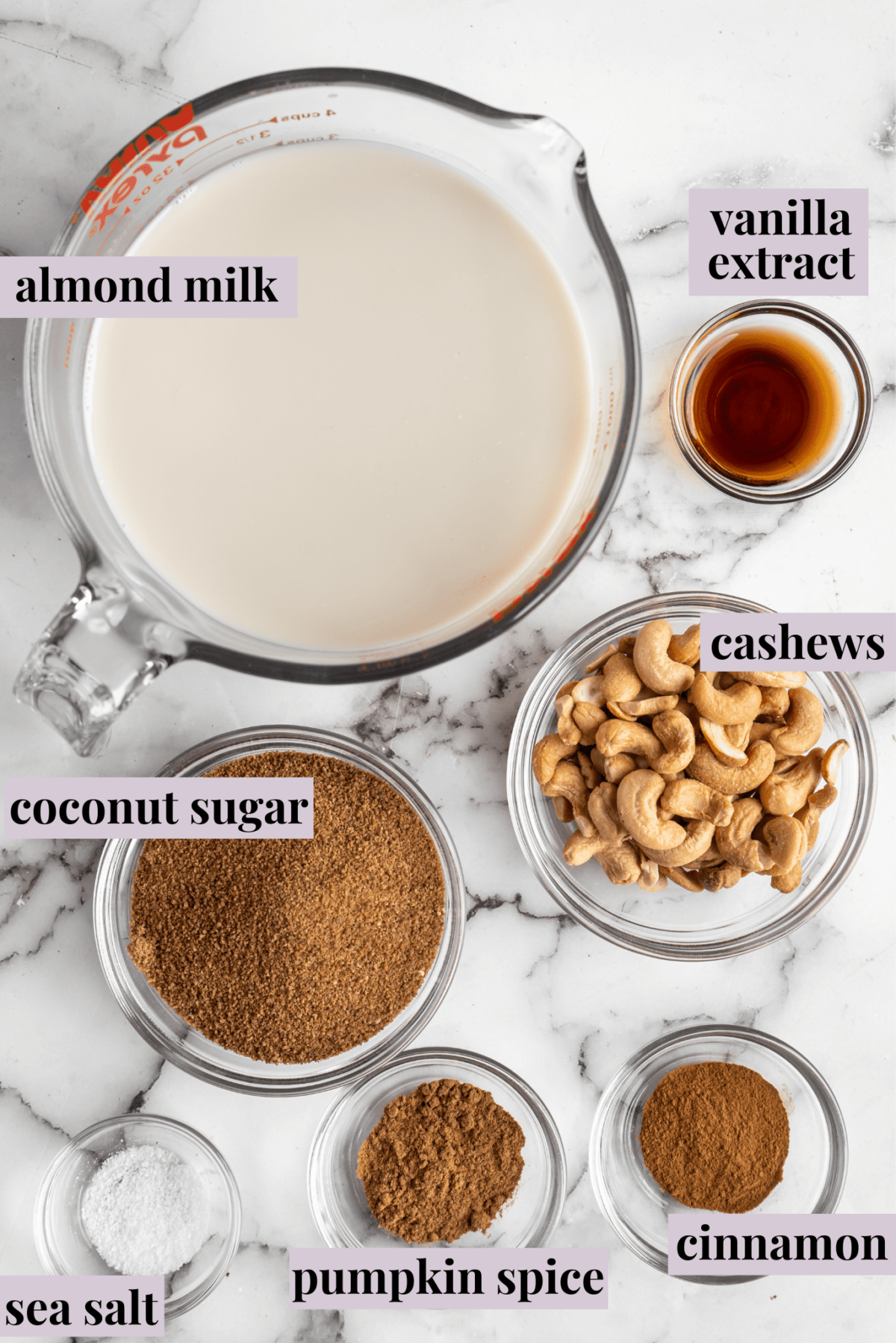 Overhead view of the labeled ingredients needed for vegan eggnog: almond milk, vanilla extract, cashews, coconut sugar, salt, cinnamon, and pumpkin spice