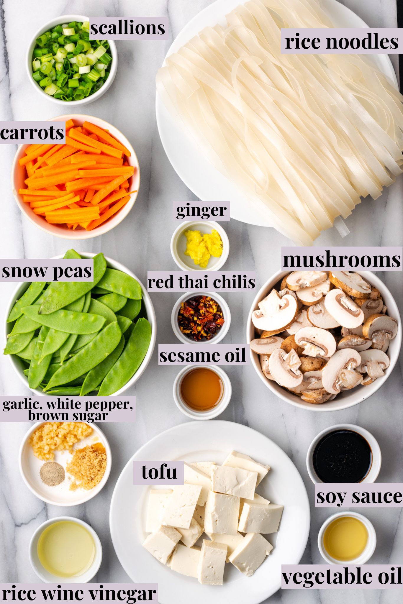 Overhead view of healthy chow fun noodle ingredients with labels