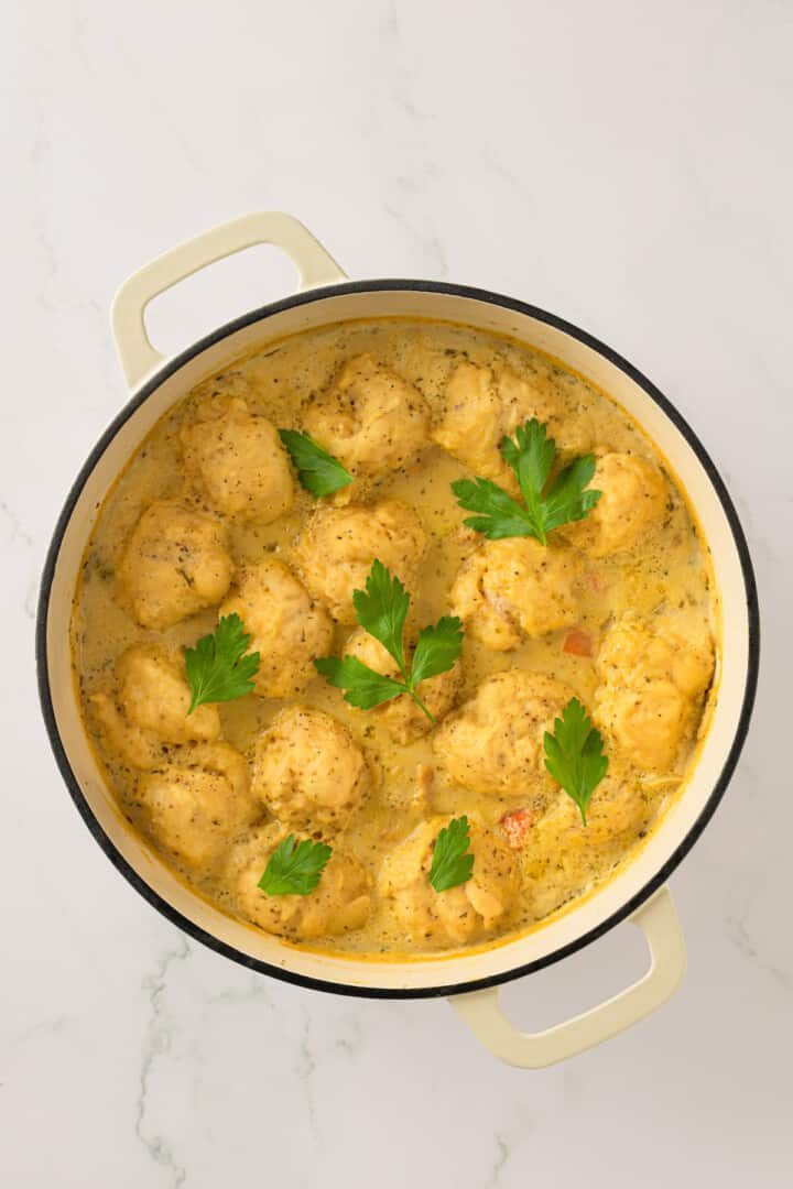 Easy Vegan Chicken and Dumplings Jessica in the Kitchen