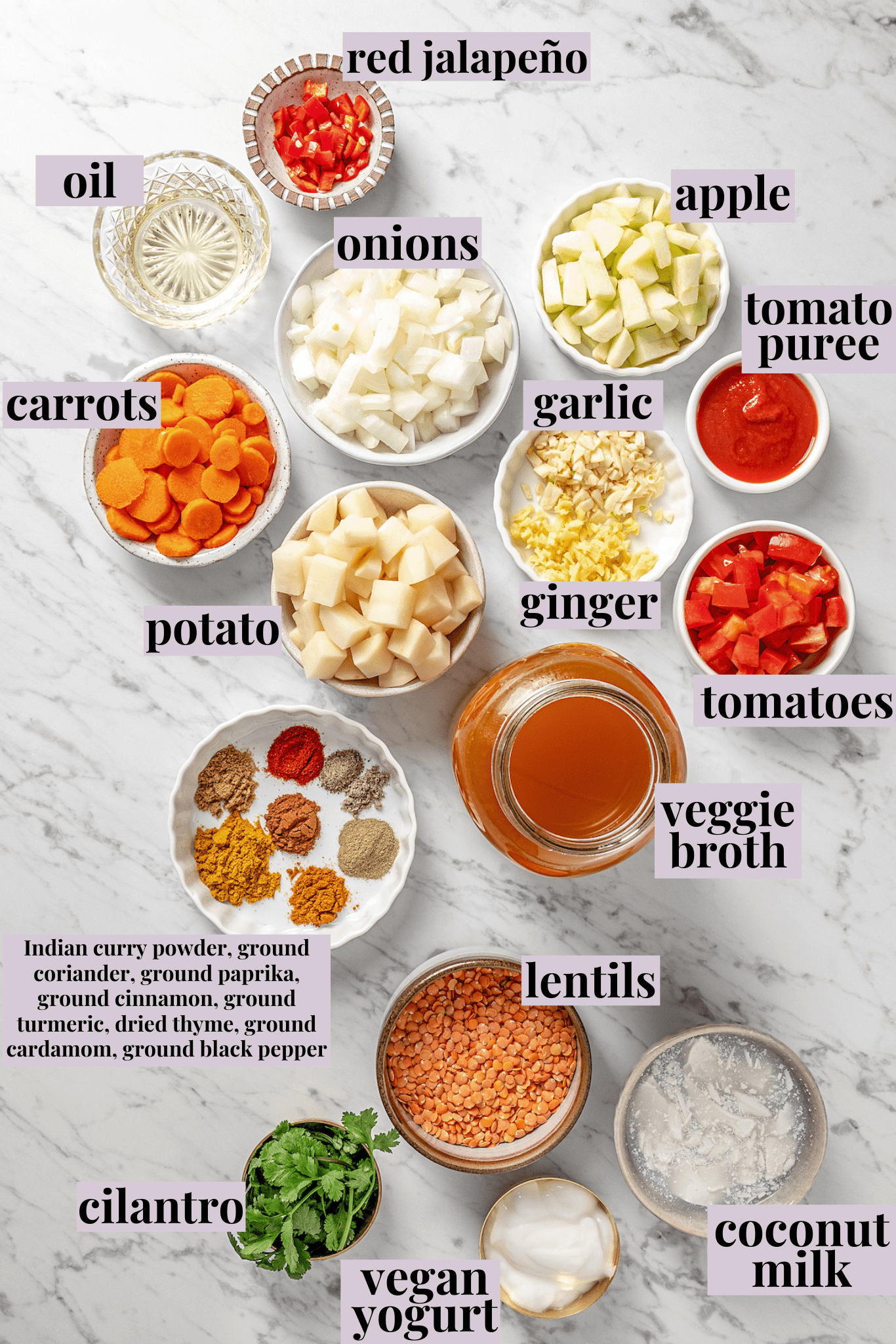 Overhead view of ingredients for vegan mulligatawny
