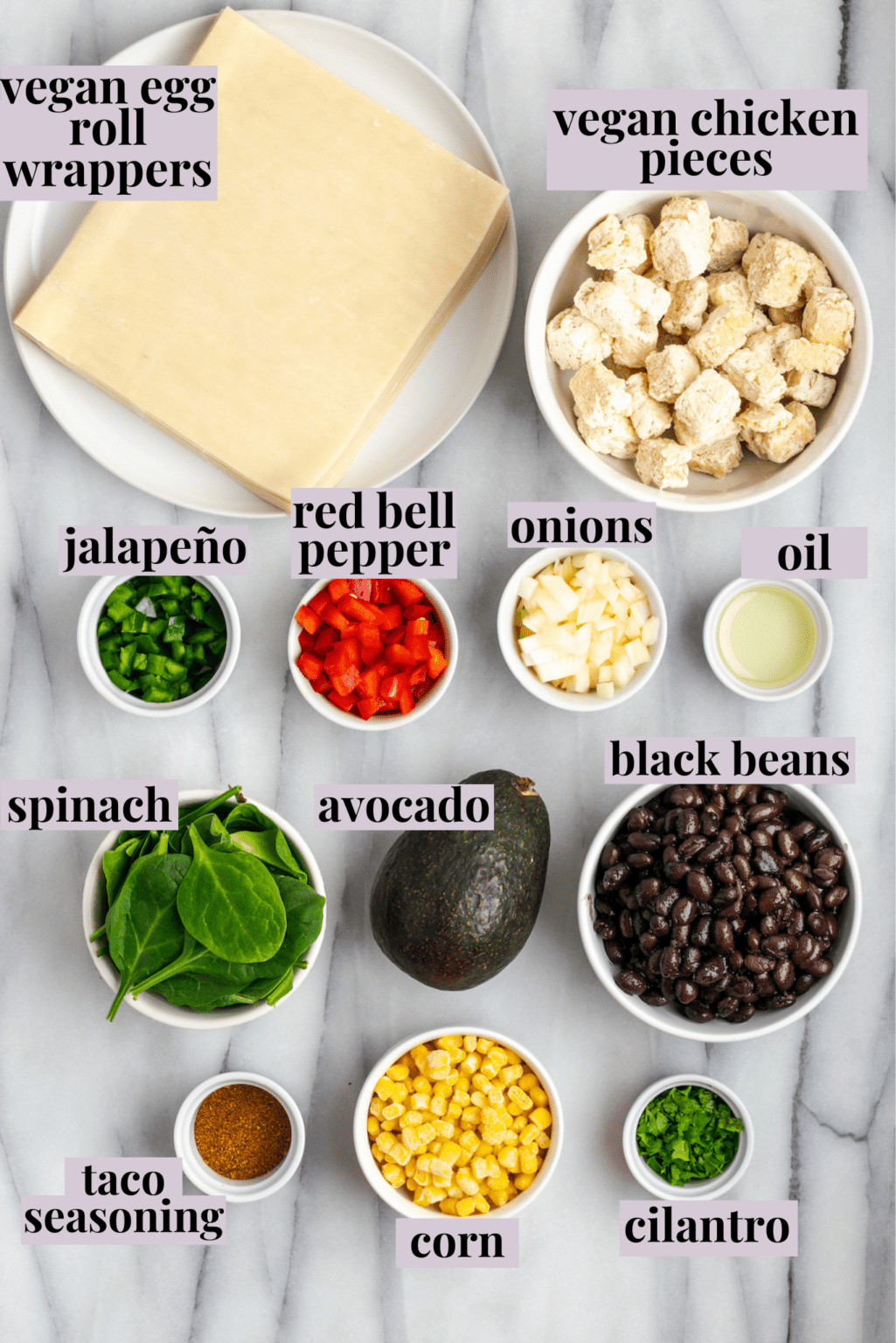 Crispy Vegan Southwest Egg Rolls Jessica in the Kitchen